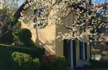 Le Betulle - Foto 64