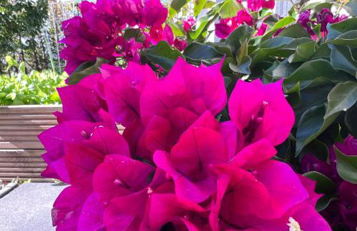 Bright new studio 43m2 with a beautiful garden - Photo 26