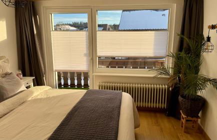 Pension Schmidt - Schwarzwaldnest - voll ausgestattetes Apartment - Foto 2