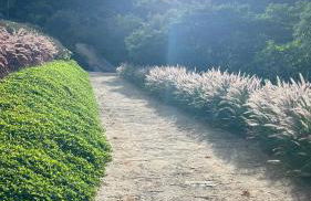 Villa Zarandi - Luxo e conforto que você procura! - Foto 68