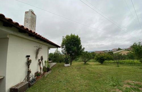 Rizospito - Photo 24