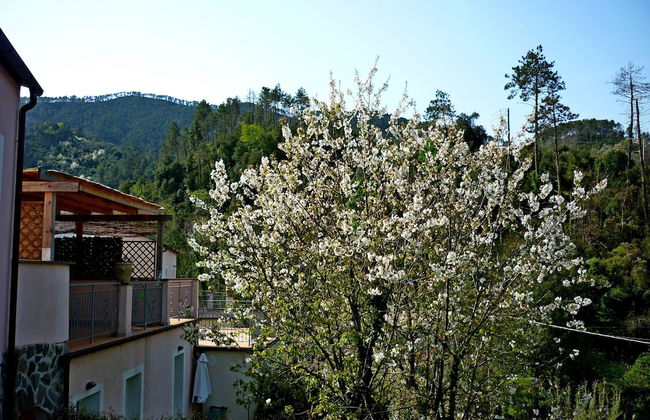 Resort Costa Morroni - Photo 71