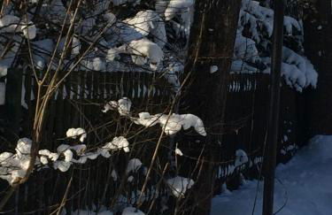 Ferienwohnung Gürth - Foto 69