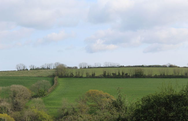 Stunning 3-bed Cottage Near Totnes South Devon - Foto 30