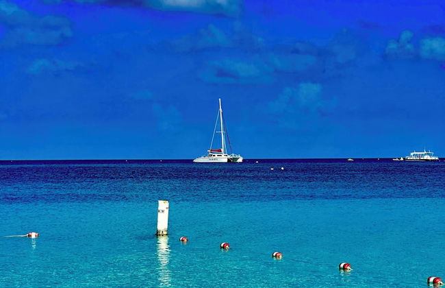 The Grove - Photo 66