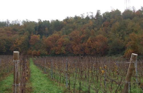 Agriturismo Cascina Rossano - Foto 58