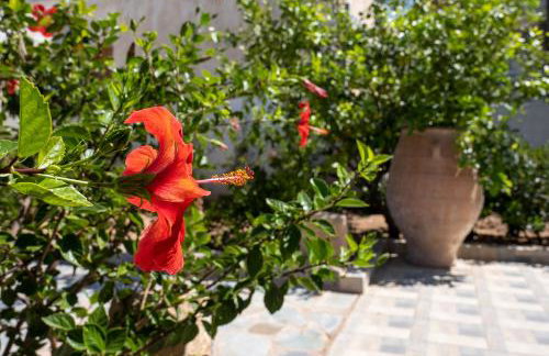 Amalthea House 2 - Foto 26