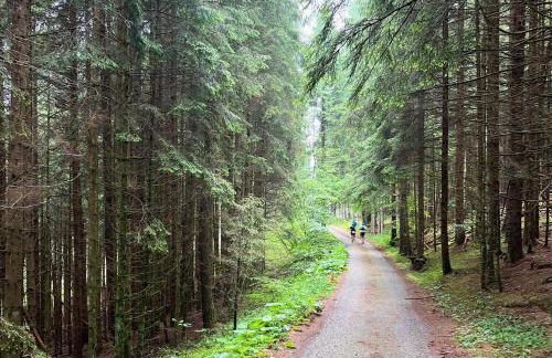 Chalet Erika: che vista! - Foto 25