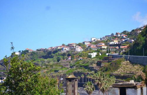 Lazy Lizard Studio - Foto 40