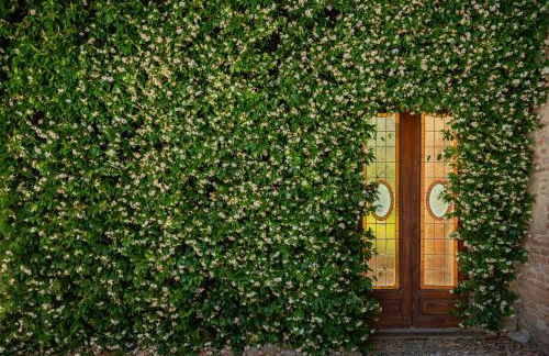 Agriturismo Bio Fattoria Bacio - Foto 8