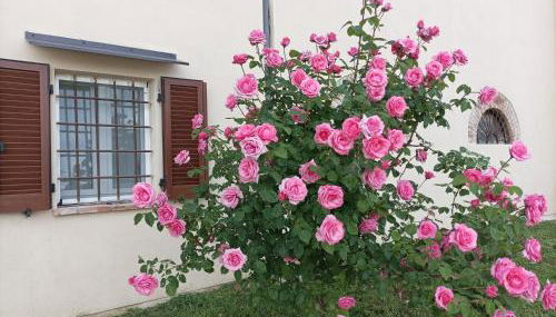 Appartamento in Cascina Cortazza - Foto 4