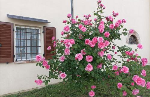 Appartamento in Cascina Cortazza - Foto 4