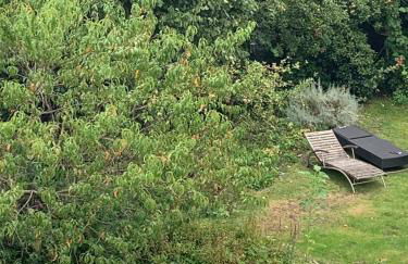 Dachwohnung Nähe Clemenshospital - Foto 19