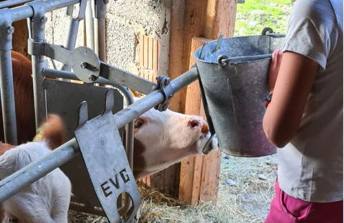 Ferienhof "Alpe Berg" - Photo 30