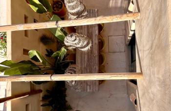 Apartamentos Flores playa - Foto 18