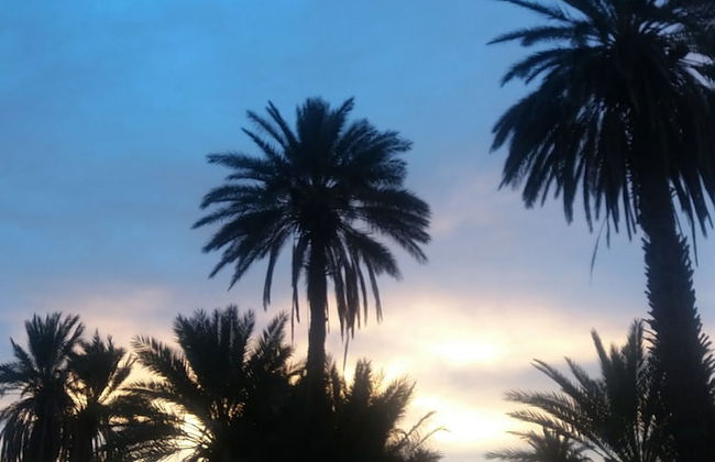 Appartement Terrasse De Skoura - Foto 24