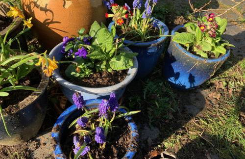 Beudy Dolpebyll - Photo 42