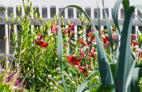 Beim Gruber - Foto 14