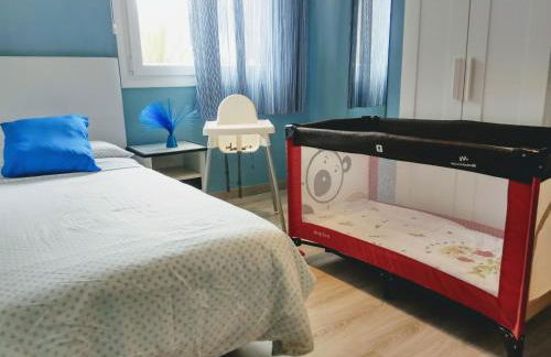 Phoenix Canariensis - Foto 17