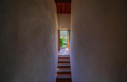 Campopineta - Photo 15