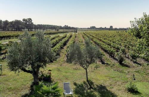 Villa spacieuse à Richerenches - Foto 16