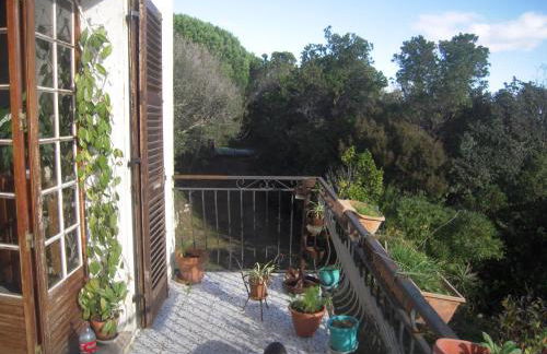 CASA DI SIGNARE - Foto 5