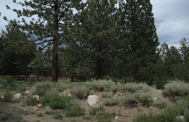 La Vista Blanc by Mammoth Reservation Bureau - Foto 43