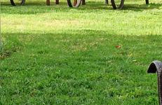 Aloe Apartment in Epidaurus - Photo 6