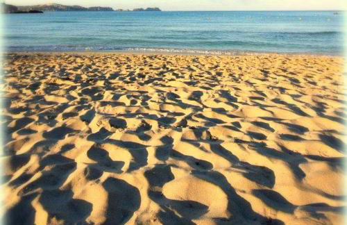 Apartamentos Petit Blau - Foto 27