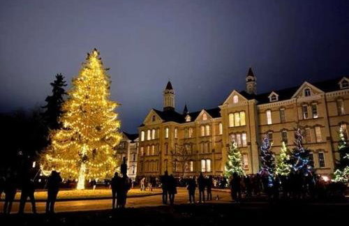 Condo at The Commons - Foto 34