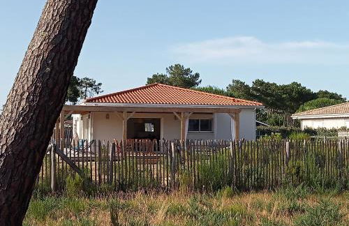 Santa Monta - Foto 33