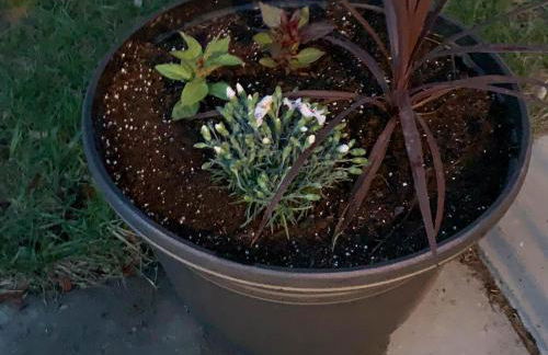 The Wing at Kingston East - Photo 44