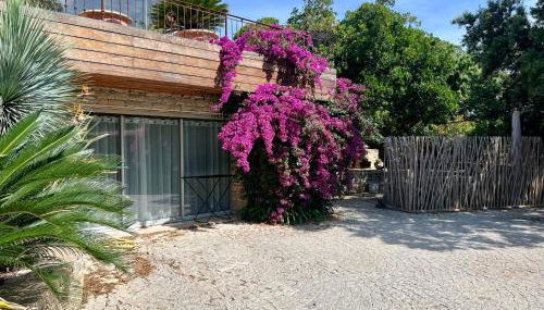 Au rythme des cigales - Foto 4, Garden