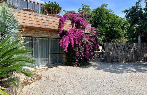 Au rythme des cigales - Foto 4