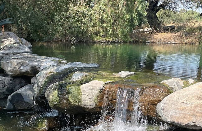 Serene Oasis in San Miguel de Allende 6-bedroom Villa With Hot Tub - Foto 26