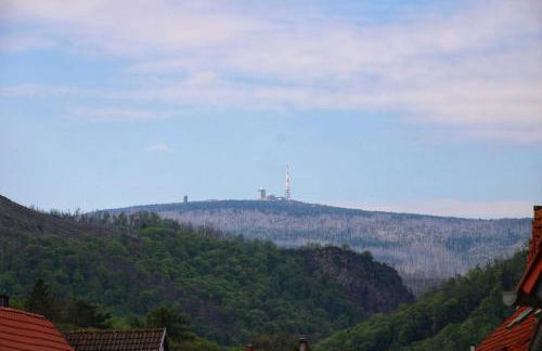 Brockensicht - Foto 12