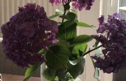 Ferienwohnung M1 - Foto 10