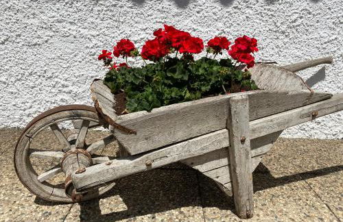 Apartments Unteradamerhof - Foto 35