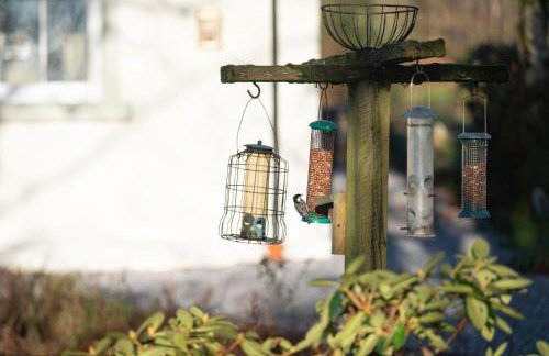 Craignair - Photo 24