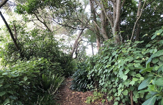 Mount Hobson Boutique Accommodation - Foto 44