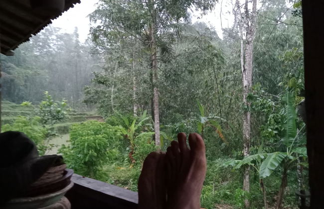 duegoal farmhouse - Photo 38