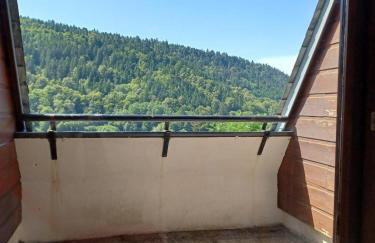 Studio cosy Mont-Dore avec vue, balcon, parking - Foto 14