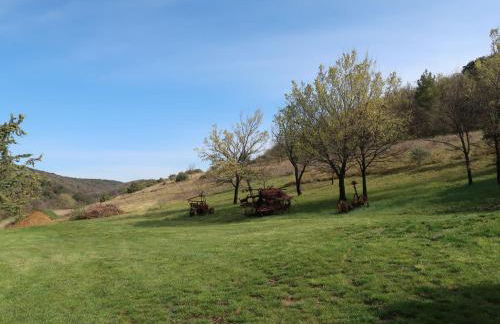 Holiday Home L'Amandier by Interhome - Photo 39