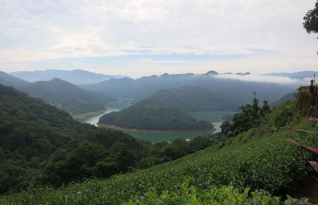 Tour del té por Pinglin - Foto 2