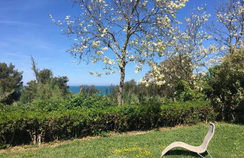 La collinetta sul mare - Foto 10