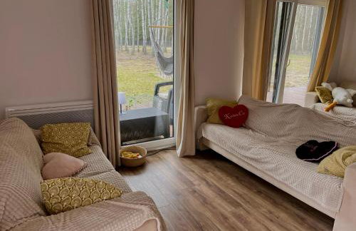 Cisza lasu - Foto 12