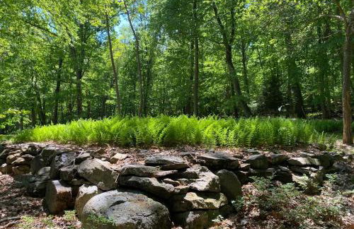 Historic Sears River Home (Main Level) on 10 Acres - Foto 5