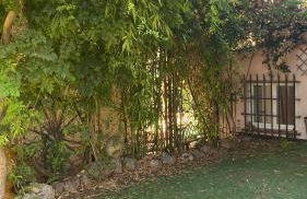 une pépite ZEN et COSY, parking jardin, idéal pour se ressourcer au calme - Foto 17