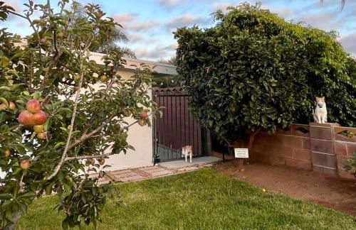 Mile to Beach! Tiki Master Suite - Foto 23