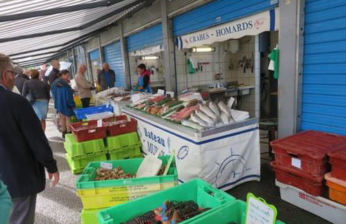 Studio rez-de-chaussée - Foto 11